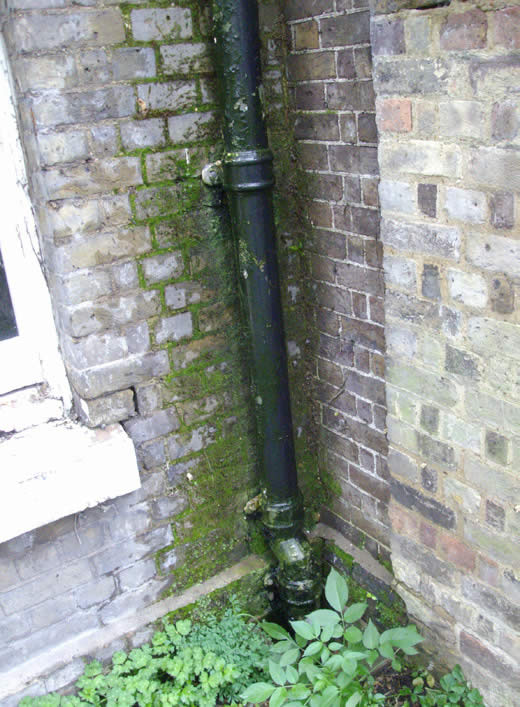 Figure 13: Moss growth can compound problems arising from rainwater penetration.